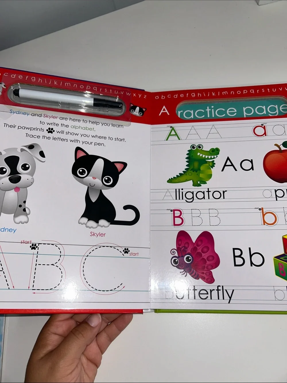 Preschool Chuldren’s Educational Bundle ABC Dry Erase Book + Melissa & Doug Art